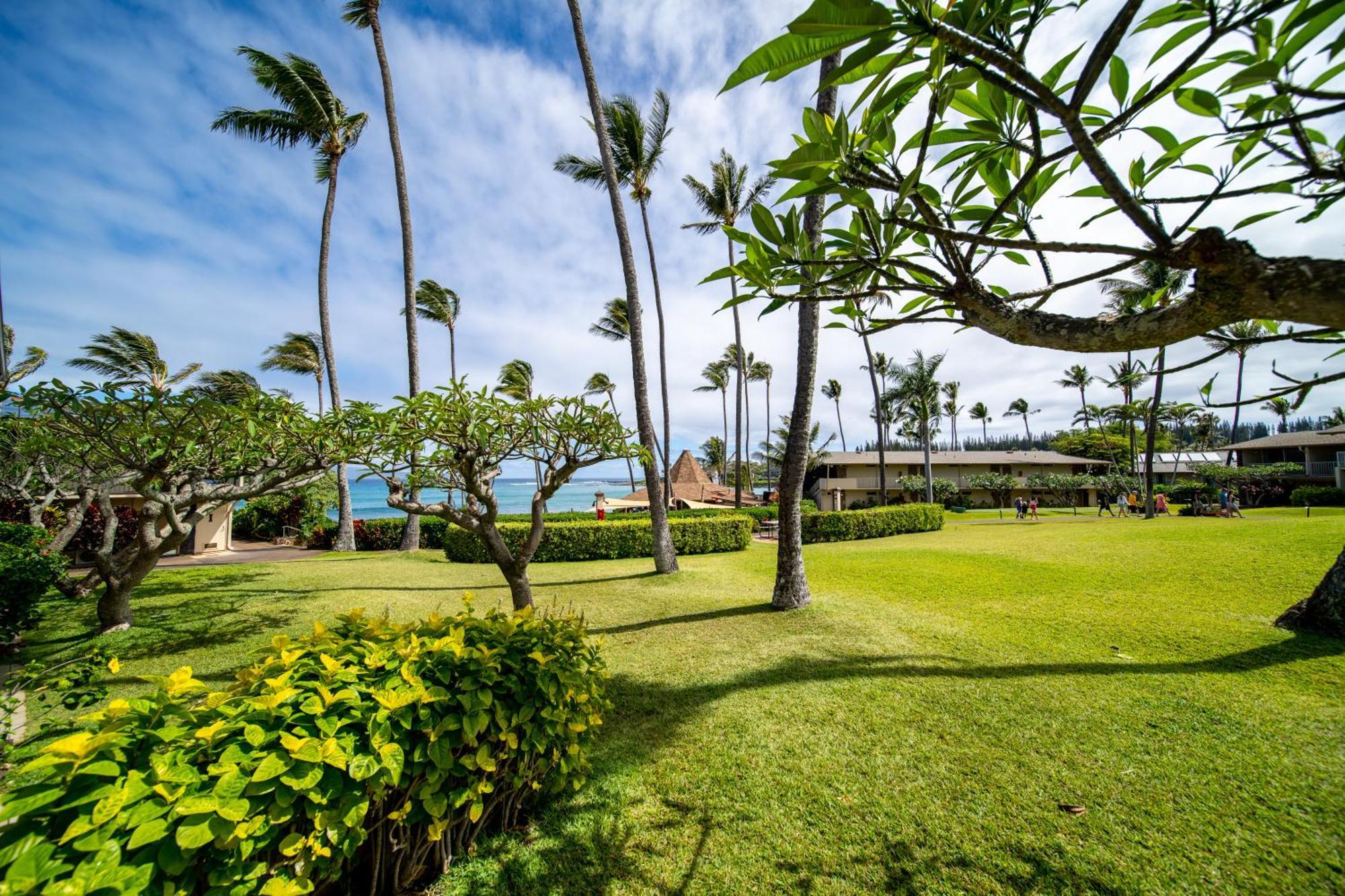Napili Shores Maui By Outrigger - No Resort & Housekeeping Fees Lahaina Cameră foto